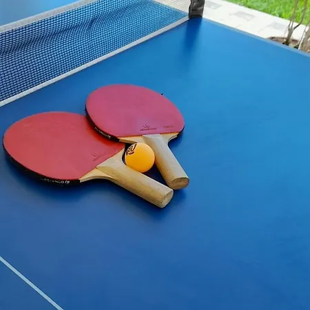 Montemaggio 农家乐 *