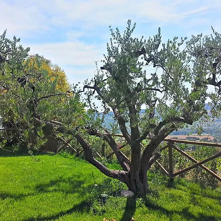 Farm stay Agriturismo Monte Maggio