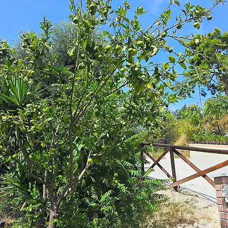 农家乐 Montemaggio *