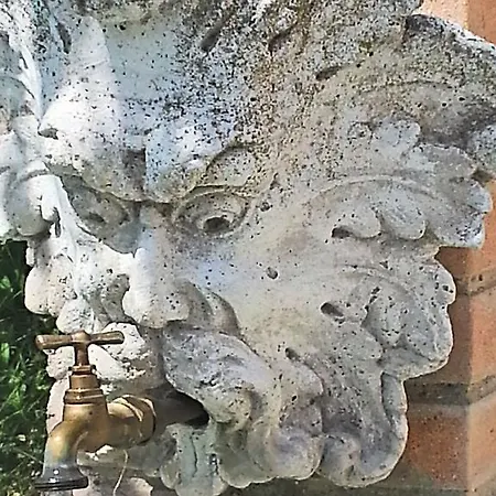 Montemaggio 农家乐 *