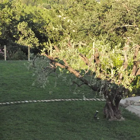 Agriturismo Monte Maggio