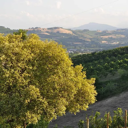 Farm stay Agriturismo Monte Maggio