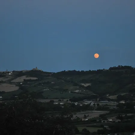 Montemaggio 拉佩多纳