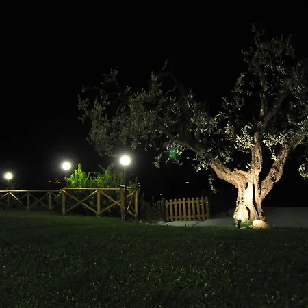 Séjour à la ferme Montemaggio