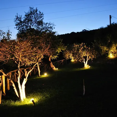 农家乐 Montemaggio *