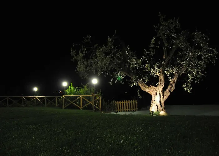 Séjour à la ferme Montemaggio